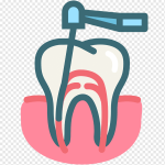 png-transparent-dental-dentist-dentistry-root-canal-teeth-tooth-dental-treatment-dental-premium-color-symbol-icon